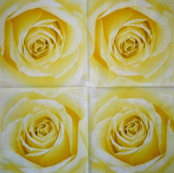 029 Rosen - 3-lagig (blau)